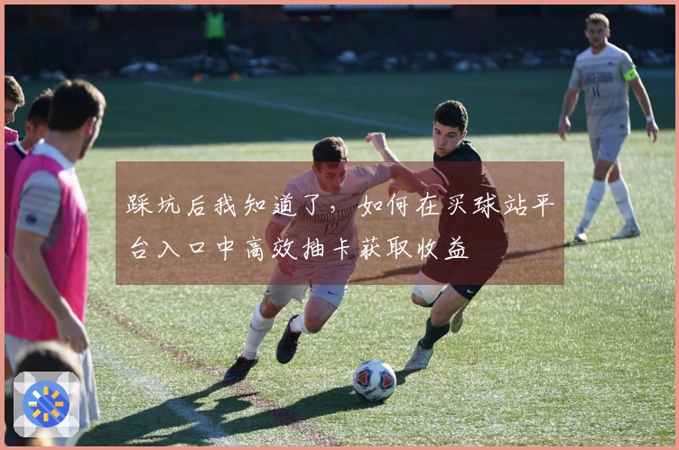 踩坑后我知道了，如何在买球站平台入口中高效抽卡获取收益