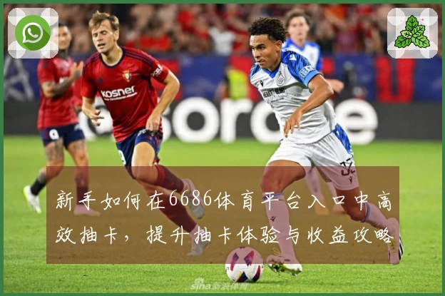 新手如何在6686体育平台入口中高效抽卡，提升抽卡体验与收益攻略