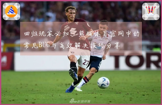 回归玩家必知：熊猫体育官网中的常见BUG与高效解决技巧分享